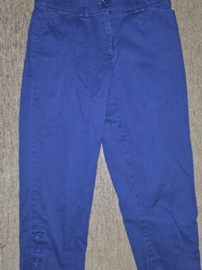 Counterparts cobalt blue cropped capri pants 2P